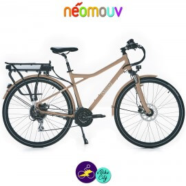 NEOMOUV MONTANA T 15.4Ah, couleur café au lait et cadre de 48cm avec système d'assistance-Vélo électrique pour Hommes