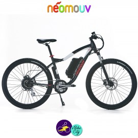 NEOMOUV CRONOS 10.4Ah, couleur anthracite et blanc avec cadre de 44cm avec système d'assistance-Vélo électrique pour Hommes