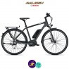 Raleigh STOKER B9 ALIVIO 13,4Ah avec système d'assistance BOSCH PERFORMANCE-Vélo électrique pour Hommes