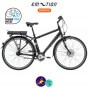 E-MOTION-DEAUVILLE 11,6Ah avec système d'assistance BAFANG FM G02-Vélo électrique pour Hommes