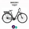 BREEZER-GREENWAY IG+ LS-CB 11.1Ah, cadre de 43cm en satin gris avec assistance Shimano Steps-Vélo électrique pour Femmes